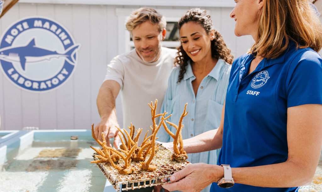 Two people tour the coral nursery at Reefhouse Resort & Marina.