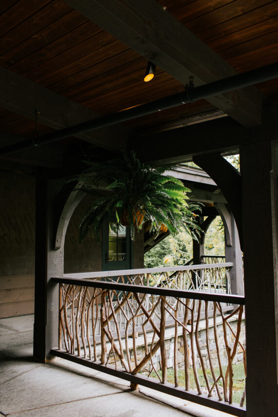 A wooden porch with exposed beams and a railing made of intertwined branches. A large fern hangs from the ceiling, and trees are visible in the background through the open space, creating a rustic and natural atmosphere.