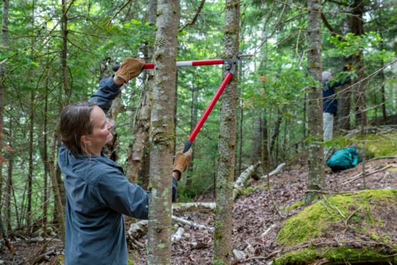 A couple team members help with trail maintenance.