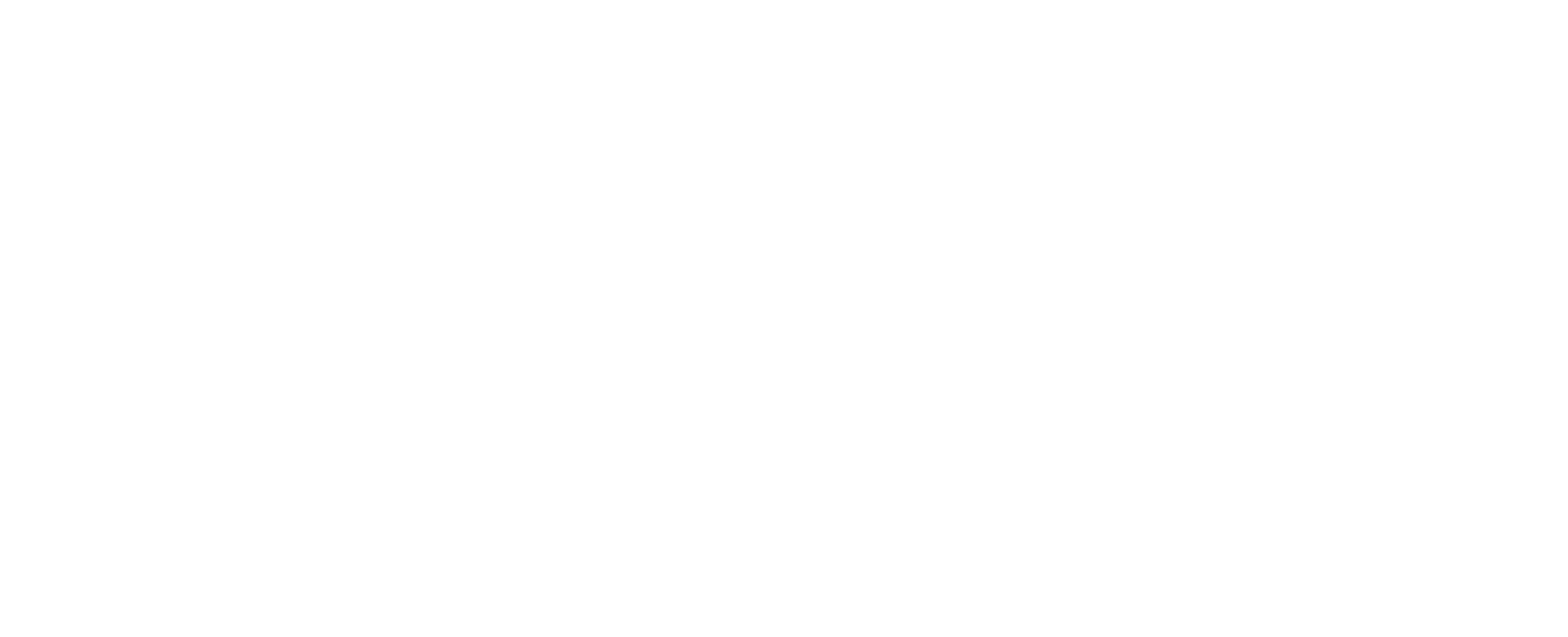 Cirque St. Armands White Logo - Click on this to go back to the homepage.